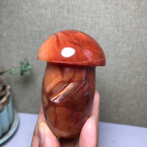Natural red agate mushroom - natural,