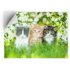 1 x Vinyl Sticker A5 -