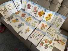 Florals leafy die - &, by