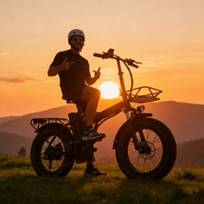 20" 750W 48V New Folding e-bik