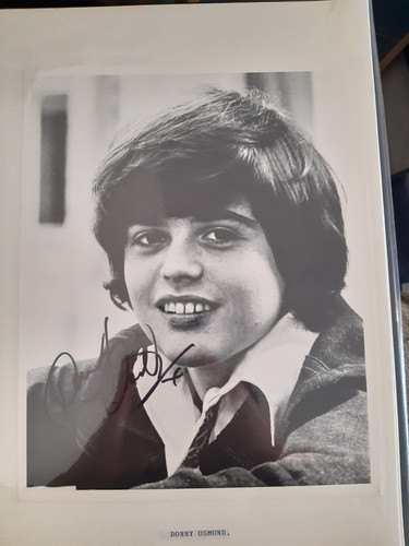Donny osmond signed photo - osmond,