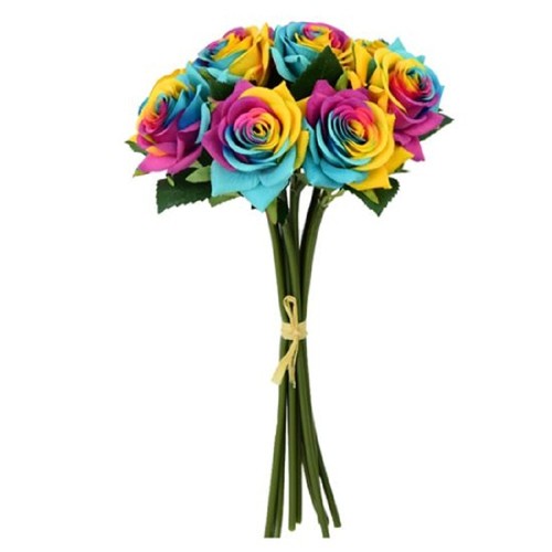 Rainbow roses tied bunch - rainbow,