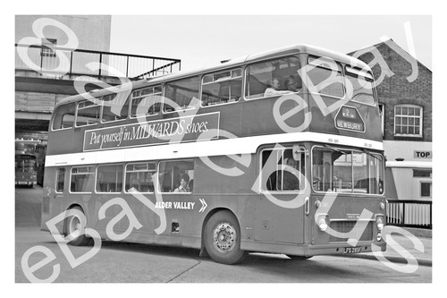 Bus photograph alder - bus, valley