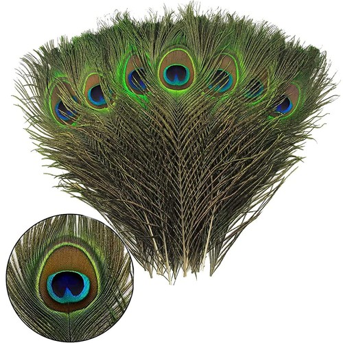 Jeopko 15pcs peacock - jeopko,