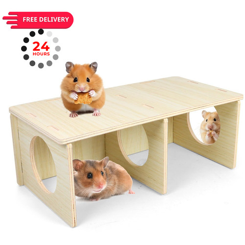 Yasdyri hamster and - hamster, mouse