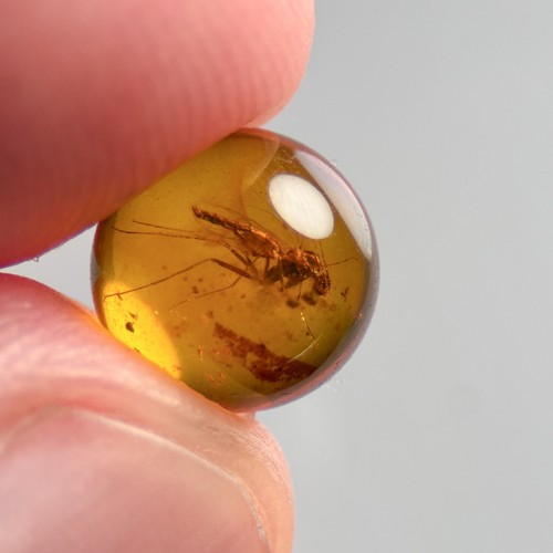 Fly sphere 5mm bead burmese - sphere,