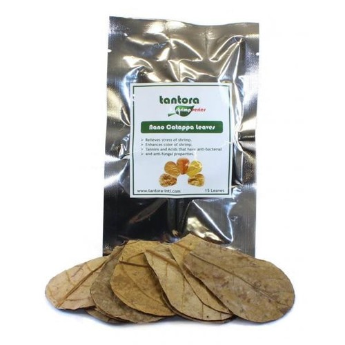 Tantora nano catappa leaves - ,