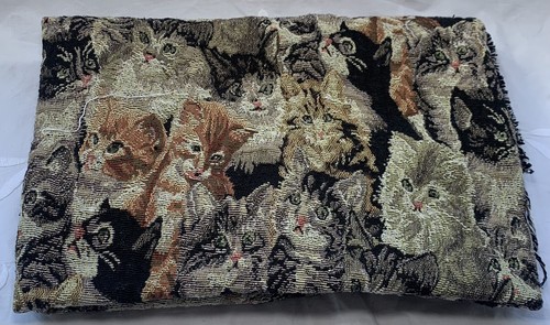 Cat kitten fabric wide - kitten,