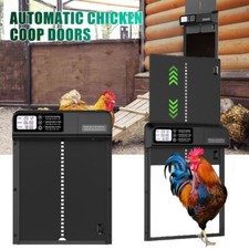 Automatic Chicken Coop Chicken