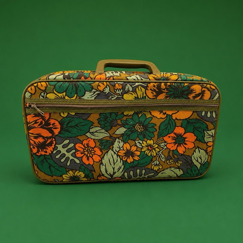 Vintage antler travelware - antler,