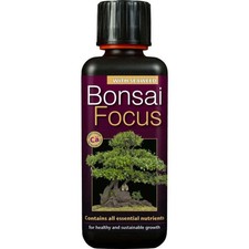 Bonsai Focus Tree Food Feed