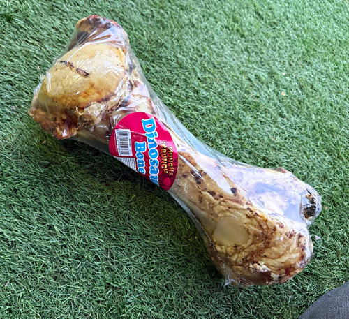 Munch crunch dinosaur - crunch,