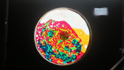 Bubble vision oil - oil, wheel