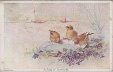 Bird postcard song of - song,