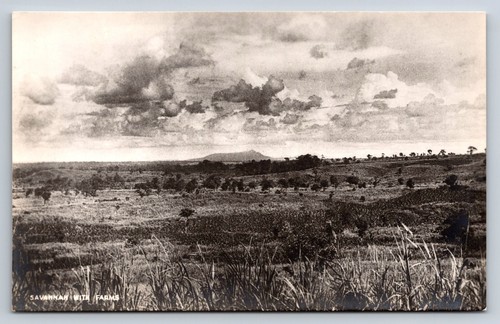 Postcard sierra leone savannah - postcard,