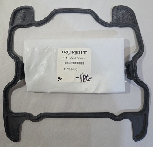New 2016 2022 triumph cam - 1, 2016-2022