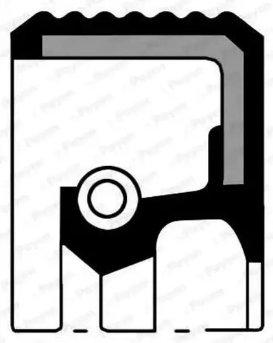 Crankshaft seal ring fpm - seal, o-ring