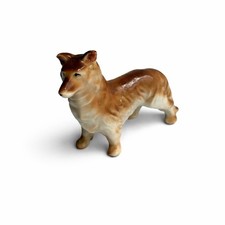 Brown Sheltie Collie Lassie