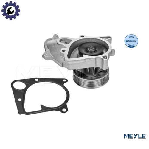 Water pump engine - engine, 313