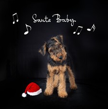 Welsh Terrier Christmas Card -