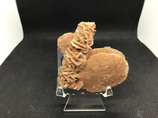 desert rose 7cm / 7cm
