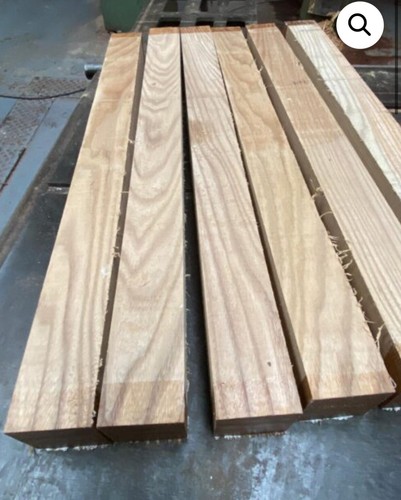 Red elm spindle - elm,