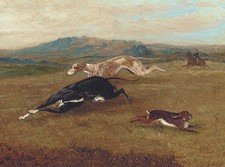 GREYHOUND CHARMING DOG