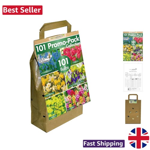 Spring flowering bulbs - spring,