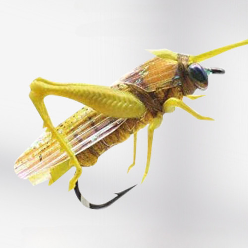 2pcs grasshopper dry fly flies - dry,