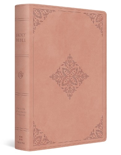 Esv holy bible 9798874906948 - esv,