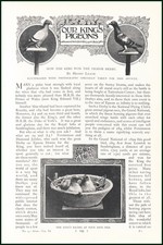 OUR KING'S PIGEONS : HOW THE