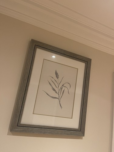 Neptune coppice botanical art - neptune,