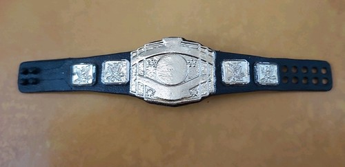 Blank intercontinental title - blank,