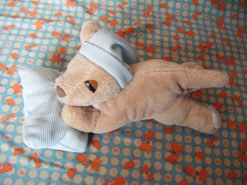 Australian sleeping kangaroo - sleeping,