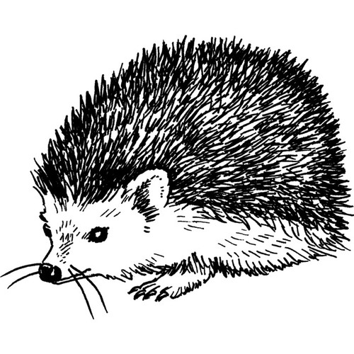 Hedgehog unmounted rubber - unmounted,