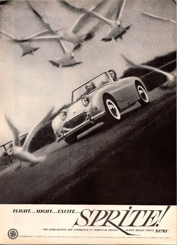 1960 austin healey sprite - sprite, car