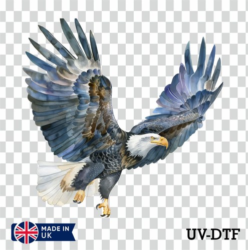 Peregrine falcon dtf - peregrine, uv