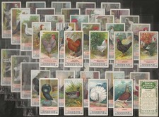 OGDENS-FULL SET- FOWLS PIGEONS & DOGS (50 CARDS)