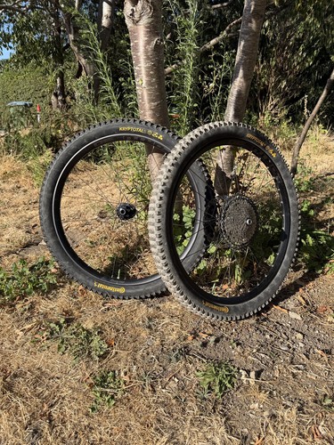 Hope fortus pro wheelset - hope,