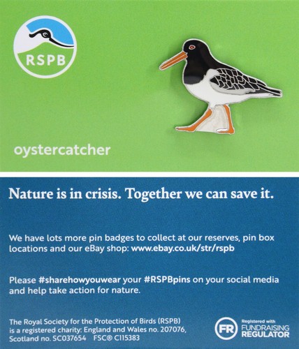Rspb pin badge niic - rspb,