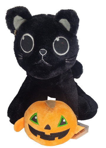 Black cat kitten big - black,
