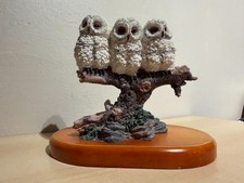 Country Artists Baby Owl Group