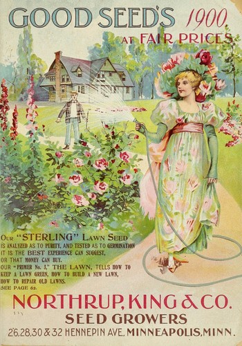 Vintage seed catalog poster - vintage,