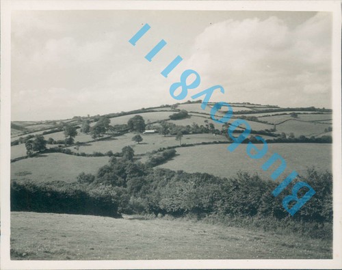 Coleford bottom near bampton - coleford,