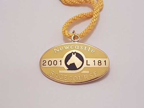Newcastle 2001 horse - 2001, (horse