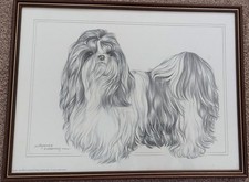 Vintage 1983 Shih Tzu Pencil