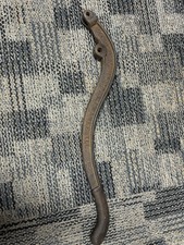 Antique Peter’s Pump Co