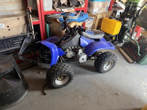 Kazuma meerkat 50cc - kazuma, quad