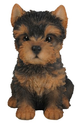 Vivid arts yorkshire terrier - arts,