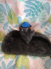 Roland Rat Pencil Case Vintage 1980s